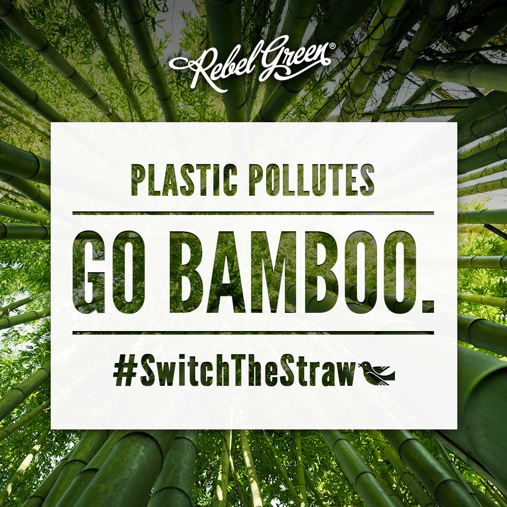 http://rebelgreen.com/cdn/shop/articles/Bamboo-Straws-blog.jpg?v=1654886363