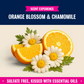 Magical Pet Stain Treatment & Odor Destroyer - Orange Blossom & Chamomile 16oz - 2pk