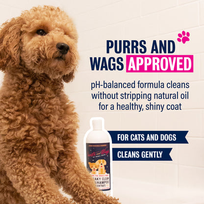 Squeaky Clean Pet Shampoo Concentrate 16oz - 2pk