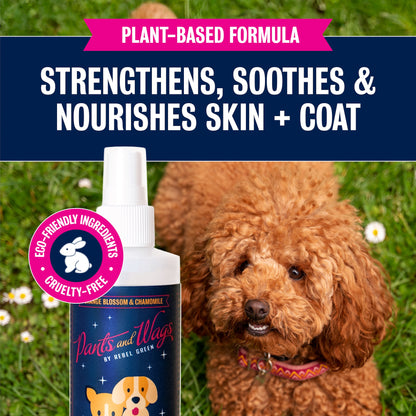 Doggie Detangler Anti-Itch n’ Scratch Dematting Spray 8oz - 2pk