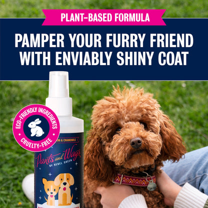 Spritz, Sparkle & Shine Essential Oil Spray 8oz - 2pk