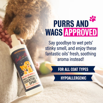 Spritz, Sparkle & Shine Essential Oil Spray 8oz - 2pk