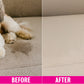 Magical Pet Stain Treatment & Odor Destroyer 16oz - 2pk