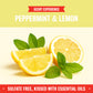 Super Deluxe Dish Soap - Peppermint & Lemon 16 oz (2 pk)