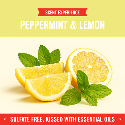 Ultra Clean Dish Soap - Peppermint & Lemon 16oz 2-Pack