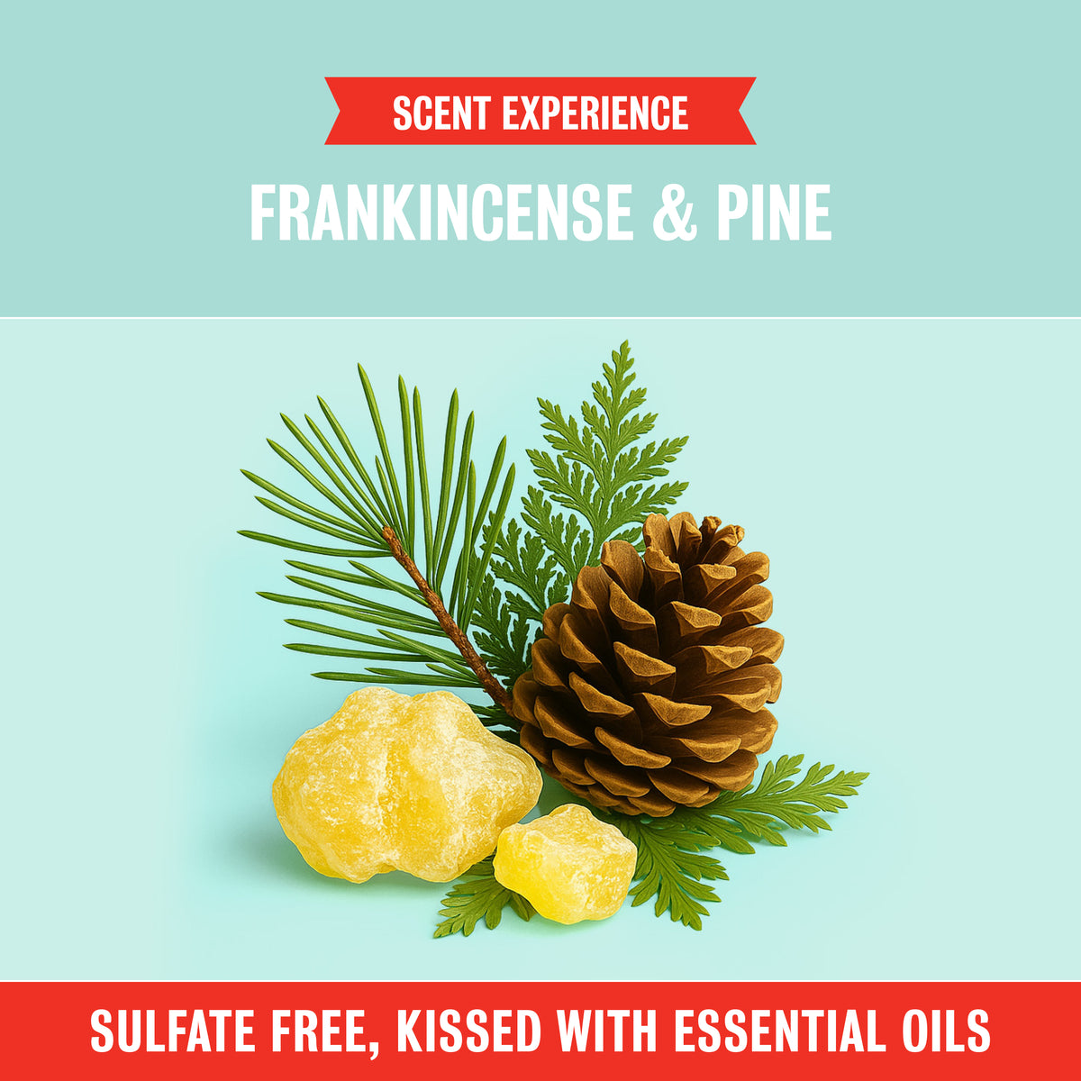 Fresh & Clean Hand Soap - Frankincense & Pine 12oz 2-Pack