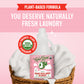 Organic Fresh Laundry Detergent - Pink Lilac 68 oz (2 pk)